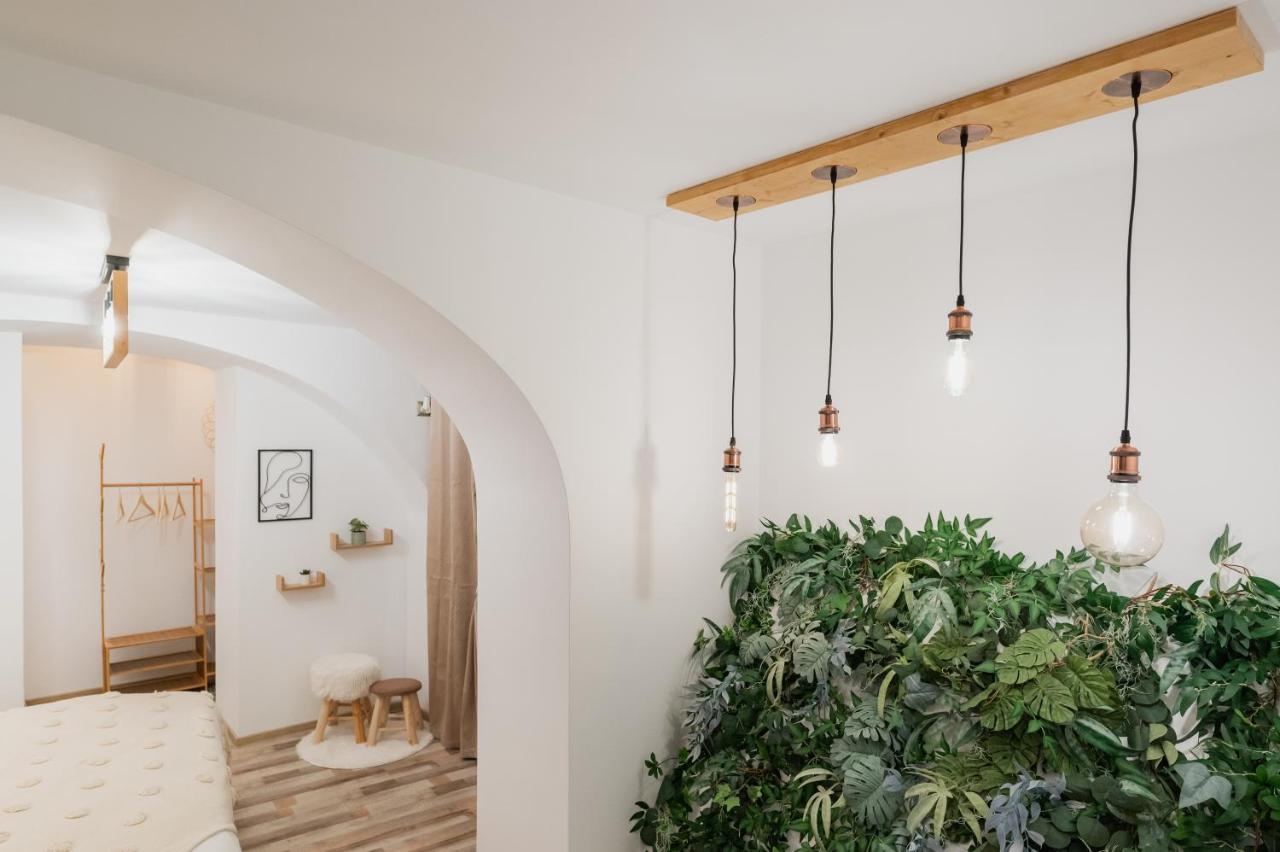 Cozee Studio - In Inima Brasovului Екстер'єр фото